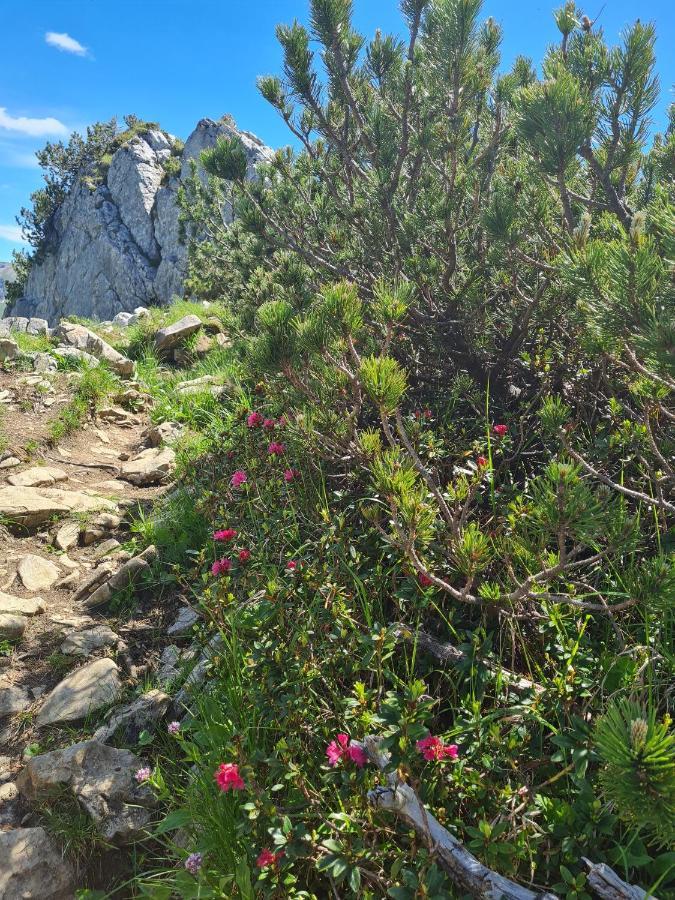 Johannas Alm Garmisch-Partenkirchen Esterno foto